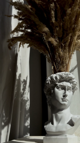 Кашпо бюст Давида M-4766-L