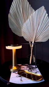 Металева ретро-лампа USB з акамулятором M-8043