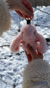 Іграшка-брелок зайченя рожевий M-9730P