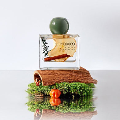 Аромадифузор Apple Cinnamon 110мл M-9842