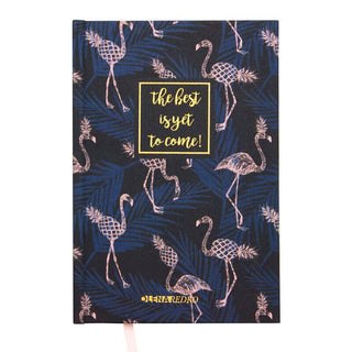 Блокнот А5 Flamingo, арт STN0011